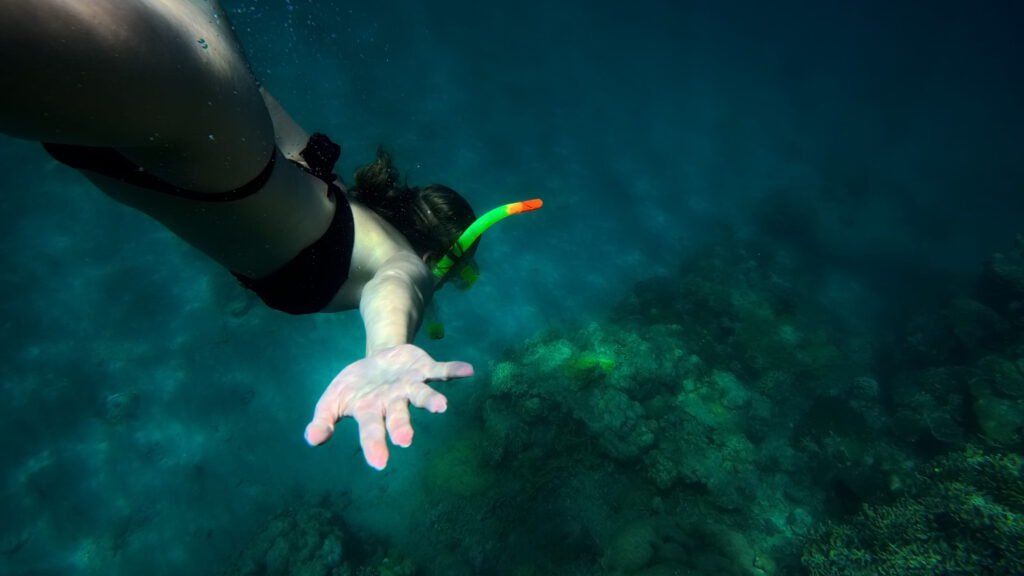 Private boat tour exploring tropical islands in Lombok and Komodo
